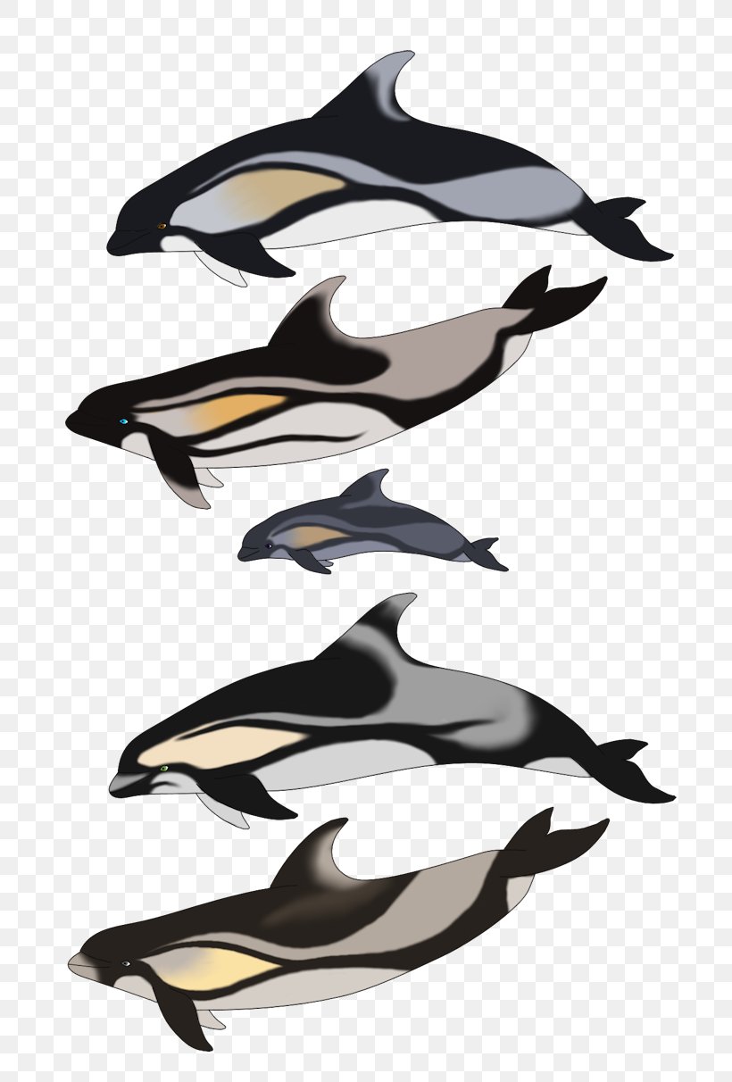 Dolphin Porpoise Killer Whale, PNG, 800x1212px, Dolphin, Beak, Killer Whale, Mammal, Marine Mammal Download Free