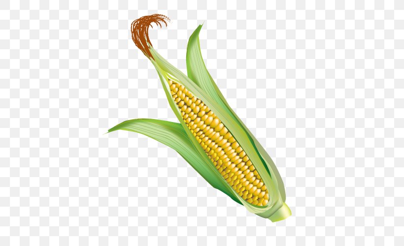 Corn On The Cob Maize Web Browser, PNG, 500x500px, Corn On The Cob, Auglis, Commodity, Element, Flashcard Download Free