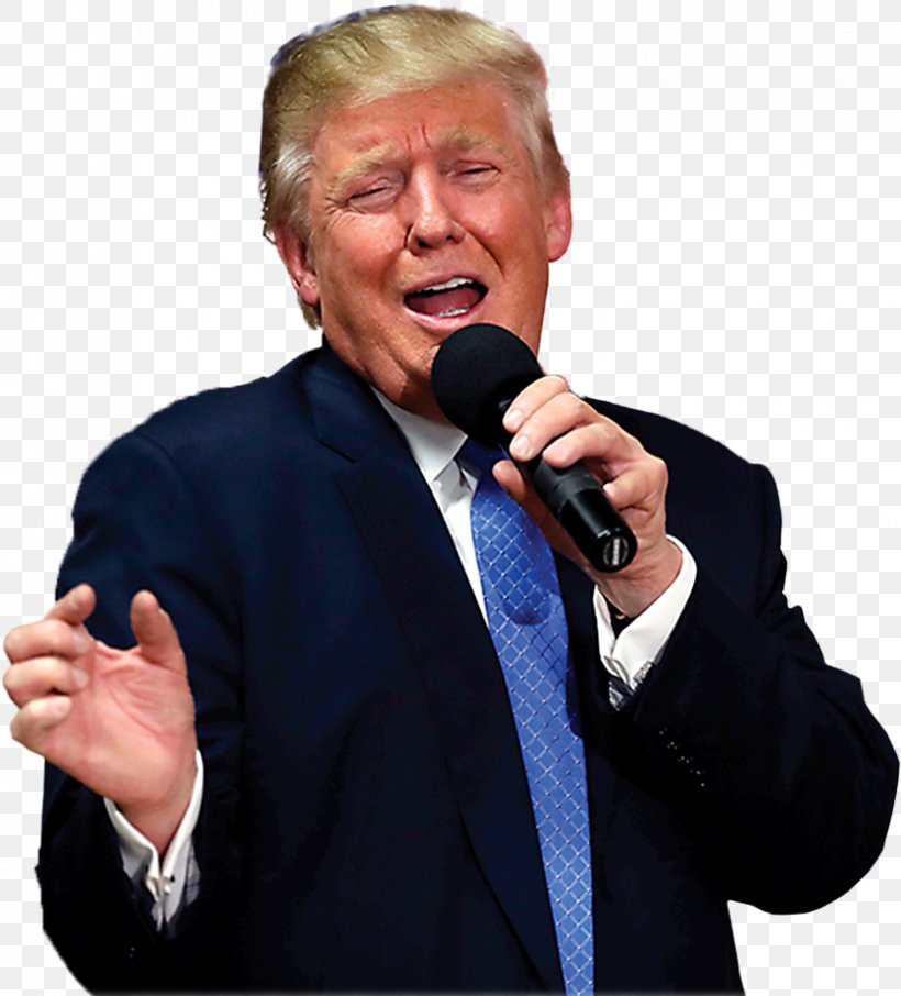 Donald Trump Trump: The Art Of The Insult Trump: The Art Of The Deal Trump Tower Film, PNG, 829x916px, Watercolor, Cartoon, Flower, Frame, Heart Download Free