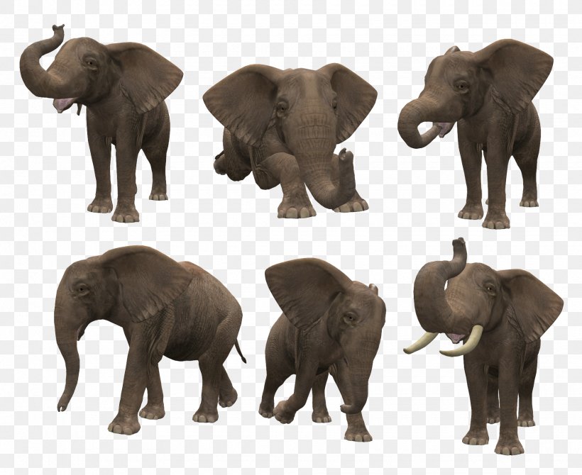 Elephant Computer File, PNG, 1840x1504px, Elephant, African Elephant, Digital Image, Dots Per Inch, Elephantidae Download Free
