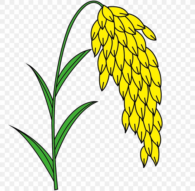 Euclidean Vector Yellow Wheat, PNG, 1119x1093px, Yellow, Artwork, Black And White, Commodity, Drawing Download Free