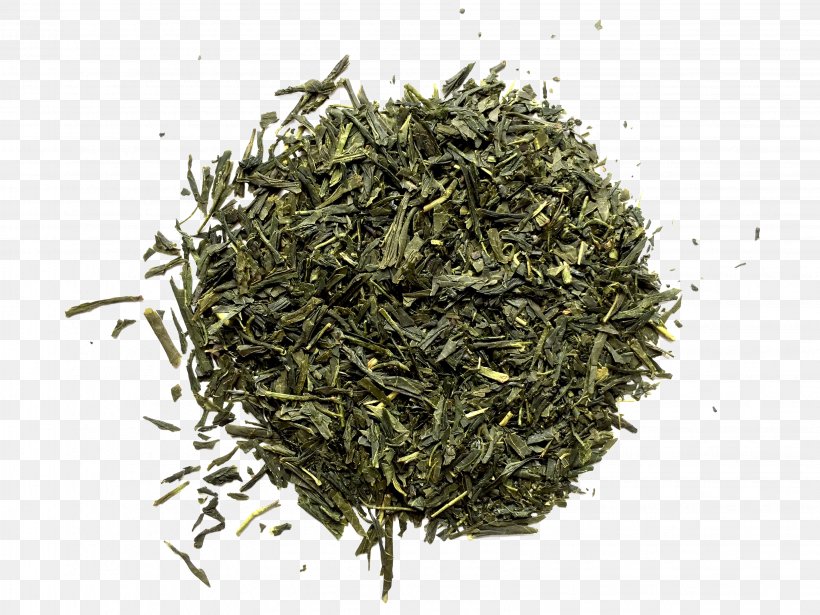 Gyokuro Nilgiri Tea Oolong Earl Grey Tea, PNG, 3264x2448px, Gyokuro, Assam Tea, Bai Mudan, Bancha, Biluochun Download Free