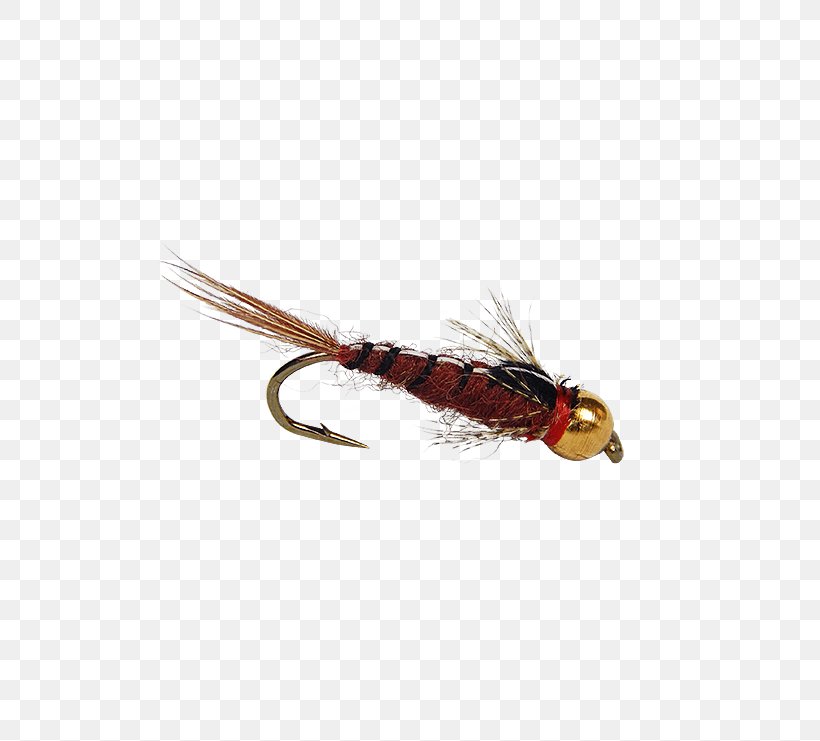 Insect Artificial Fly Bead Fishing Baits & Lures, PNG, 555x741px, Insect, Artificial Fly, Bead, Beak, Feather Download Free