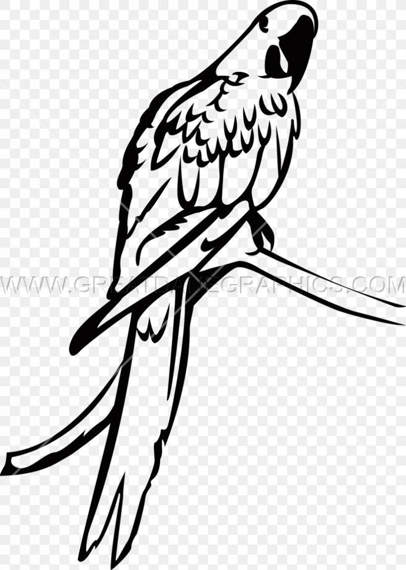 Macaw Parrot Parakeet Bird Clip Art, PNG, 825x1159px, Macaw, Art, Artwork, Beak, Bird Download Free