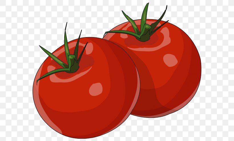 Plum Tomato Bush Tomato Pizza Drawing Food, PNG, 700x494px, Plum Tomato, Bush Tomato, Cherry Tomato, Completo, Diet Food Download Free