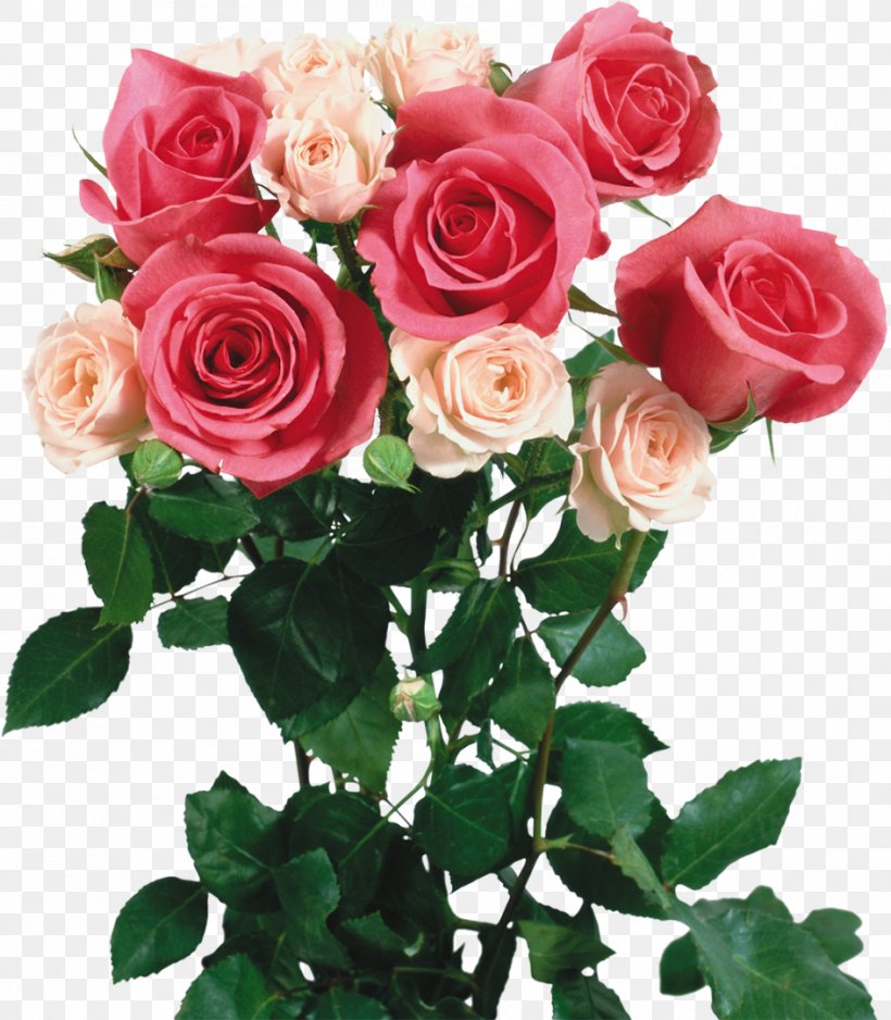 Garden Roses Flower Bouquet Clip Art, PNG, 944x1080px, Garden Roses, Annual Plant, Artificial Flower, Cut Flowers, Digital Image Download Free