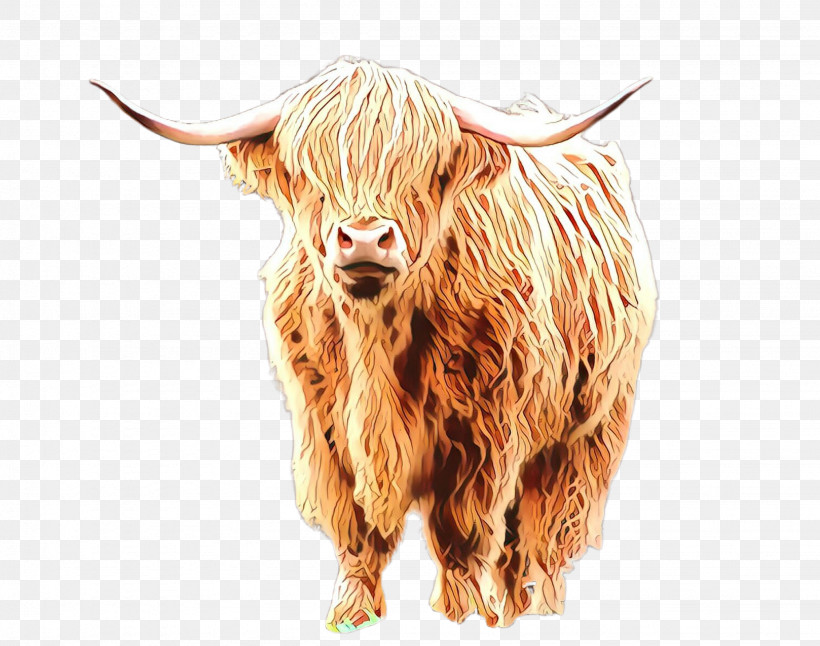 Horn Bovine Bull Livestock Ox, PNG, 2252x1776px, Horn, Bovine, Bull, Cowgoat Family, Livestock Download Free