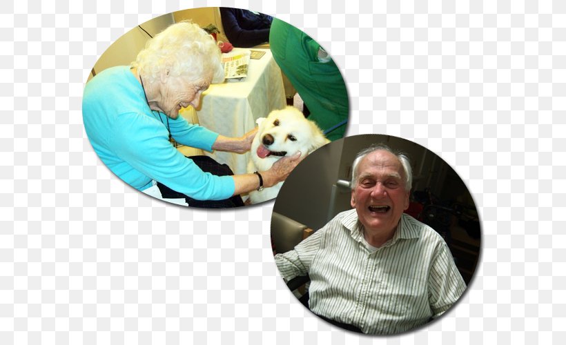 Nursing Home Care Residential Care Caring For People With Dementia Alzheimer's Disease, PNG, 600x500px, Nursing Home Care, Anxiety, Care Quality Commission, Caring For People With Dementia, Child Download Free