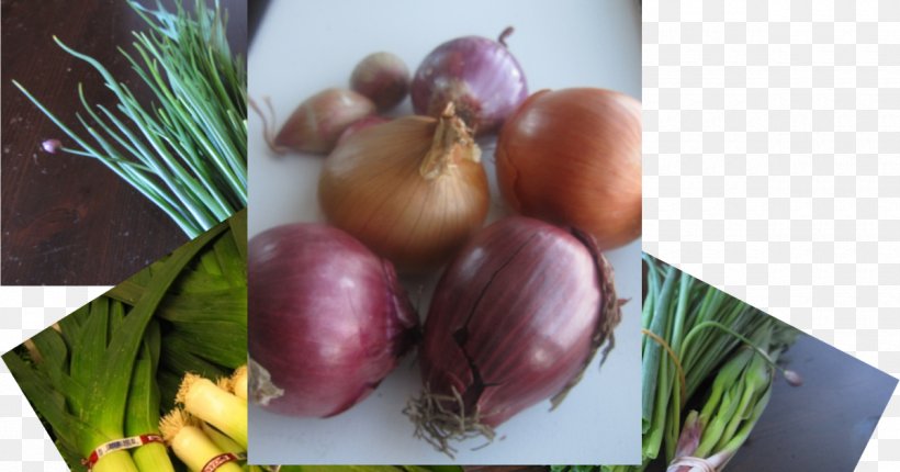 Shallot Superfood Recipe Local Food, PNG, 1200x630px, Shallot, Food, Fruit, Ingredient, Local Food Download Free