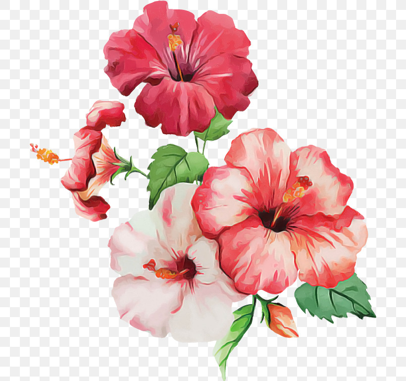 Shoeblackplant Hawaiian Hibiscus Watercolor Painting Flower Petal, PNG, 700x769px, Shoeblackplant, Blue Hibiscus, Common Hibiscus, Flower, Hawaiian Hibiscus Download Free