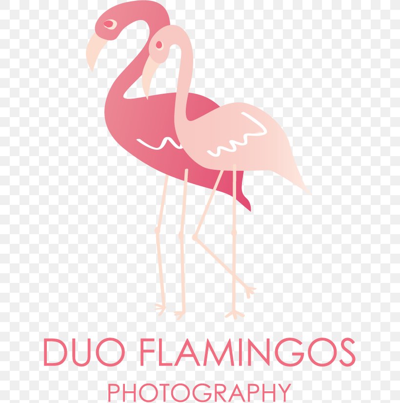 Word Duo Flamingos Photography, PNG, 640x826px, Word, Article, Beak, Bird, Flamingo Download Free