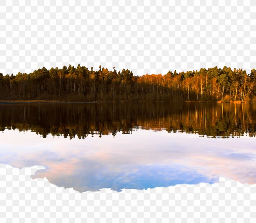 Cartoon Nature Background, PNG, 1720x1500px, Body Of Water, Bank, Calm, Forest, Inlet Download Free