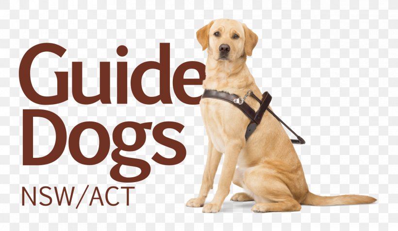 Guide Dogs Victoria Puppy Pet Insurance, PNG, 2027x1181px, Dog, Australia, Brand, Carnivoran, Charitable Organization Download Free