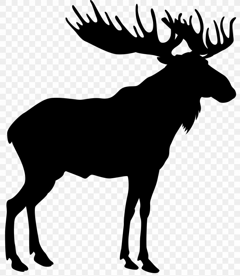 Moose Stock Photography Royalty-free Vector Graphics Stock Illustration, PNG, 6960x8000px, Moose, Antelope, Antler, Deer, Dreamstime Download Free