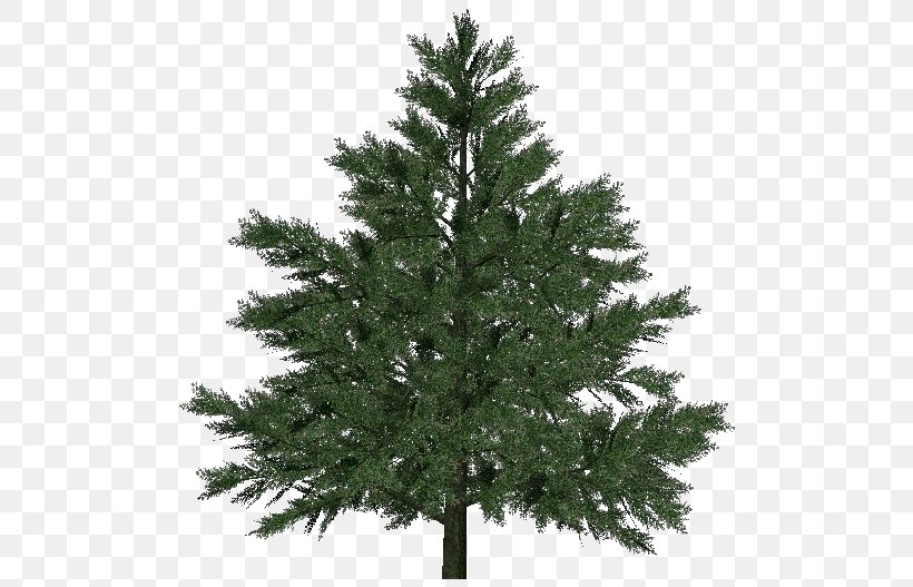 Artificial Christmas Tree Pre-lit Tree Balsam Hill, PNG, 750x527px, Artificial Christmas Tree, Balsam Fir, Balsam Hill, Biome, Branch Download Free