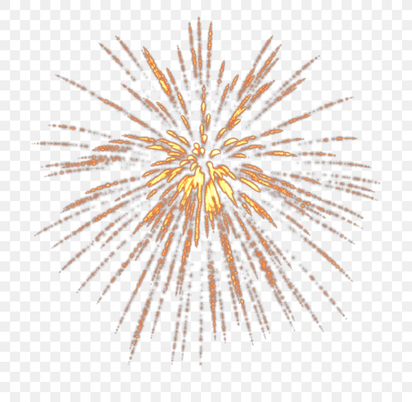 Fireworks Victory Day Clip Art, PNG, 696x800px, Fireworks, Adobe Fireworks, Firecracker, Point, Sky Download Free