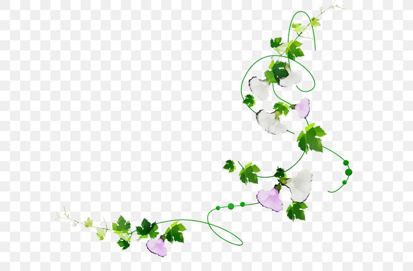 Ivy, PNG, 600x538px, Watercolor, Branch, Flower, Ivy, Leaf Download Free