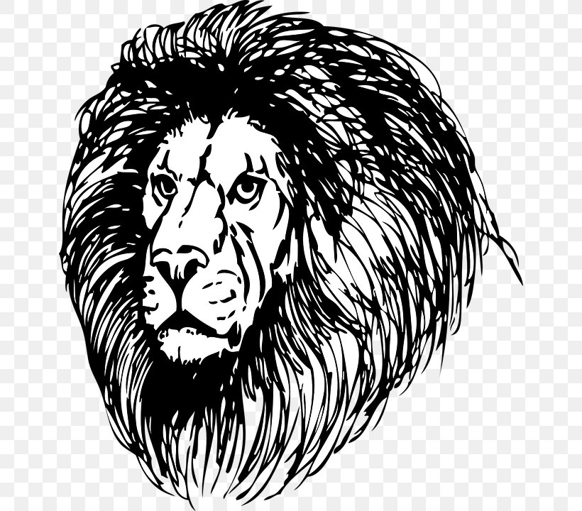 Lionhead Rabbit Drawing Clip Art, PNG, 654x720px, Lion, Art, Big Cats, Black, Black And White Download Free