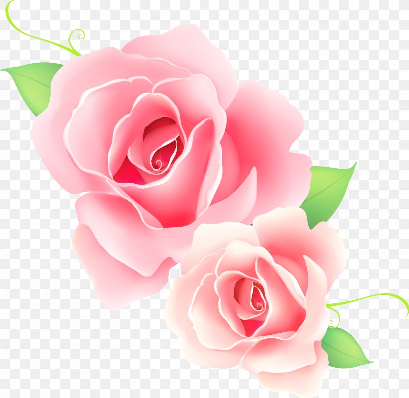 Rose Pink Flower Clip Art, PNG, 3133x3052px, Rose, Black Rose, China Rose, Close Up, Color Download Free