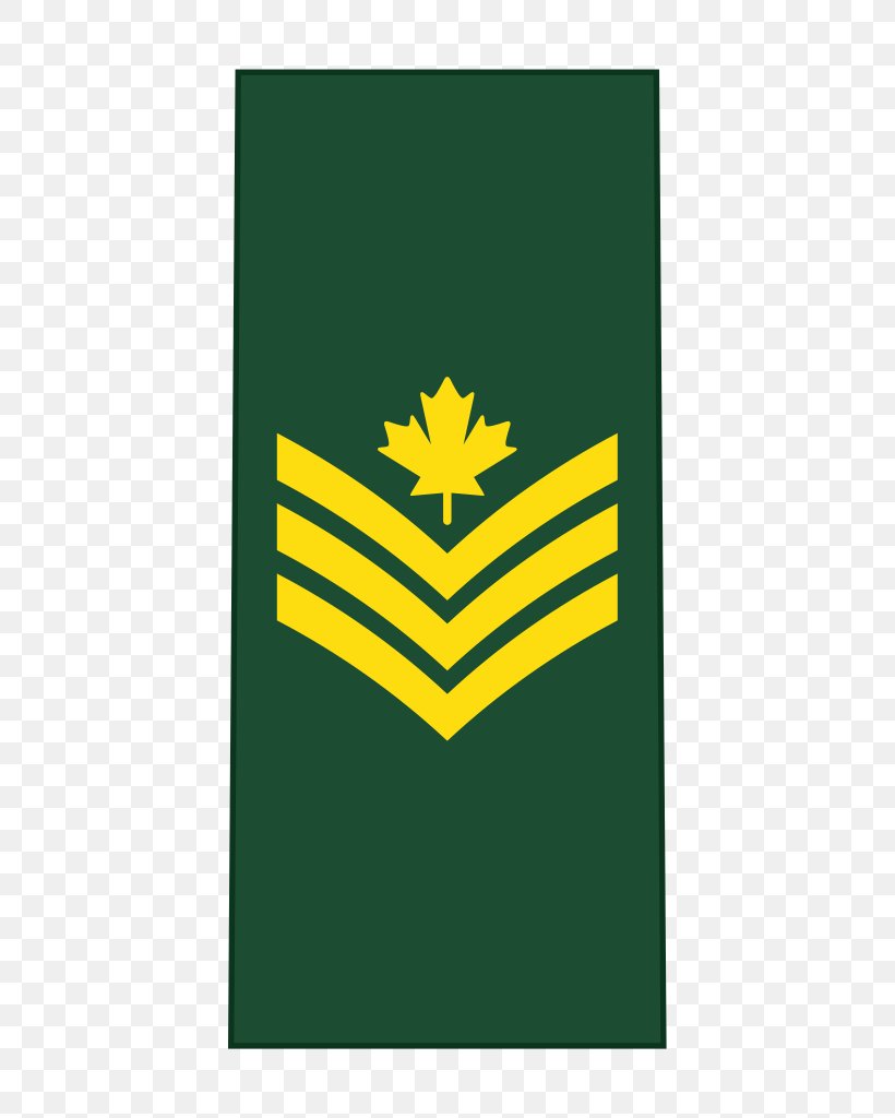 Canada Canadian Army Canadian Armed Forces Army Officer, PNG, 402x1024px, Canada, Army, Army Officer, Brand, Cabo Download Free