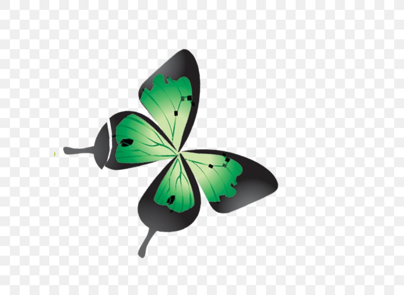 Download Clip Art, PNG, 600x600px, Cartoon, Butterfly, Drawing, Gratis, Green Download Free