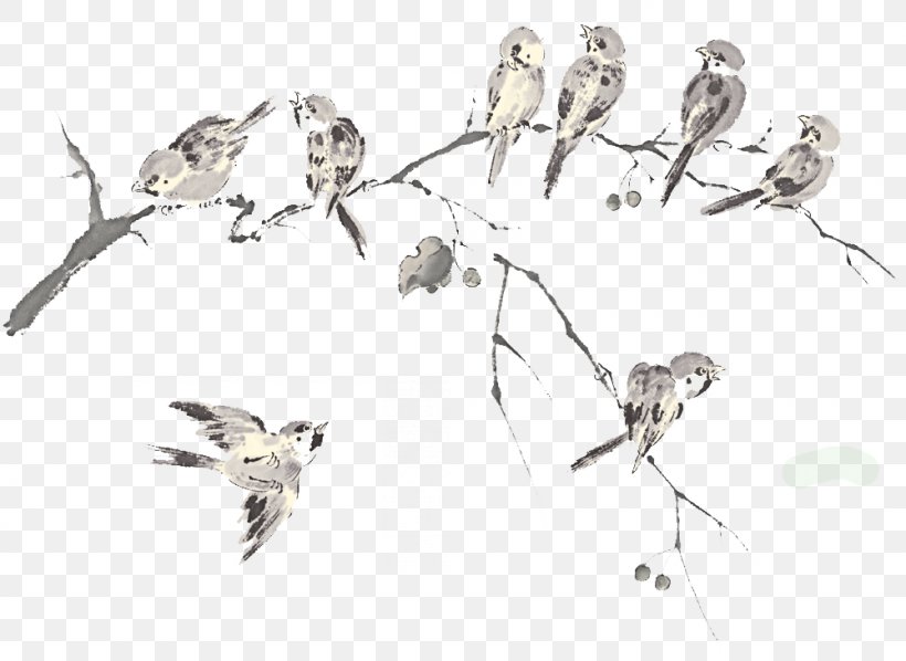 Bird Columbidae Rock Dove Flock Wallpaper, PNG, 1000x730px, 1610, Bird, Beak, Bird Flight, Black And White Download Free