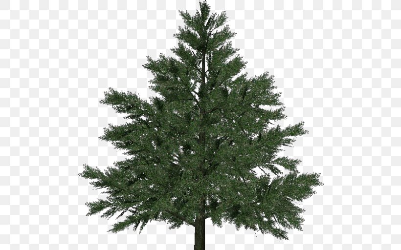 Pine Larch Norway Spruce Christmas Tree, PNG, 504x512px, Pine, Balsam Fir, Biome, Branch, Christmas Decoration Download Free