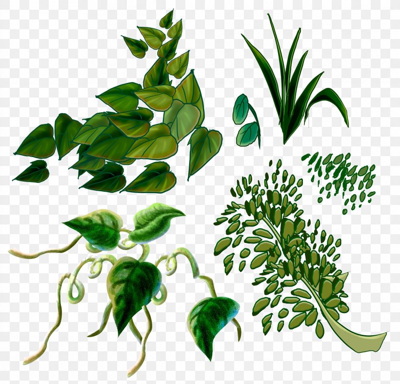 Branch Leaf Plant Stem Clip Art, PNG, 2435x2339px, Branch, Flora, Flowerpot, Grass, Herb Download Free