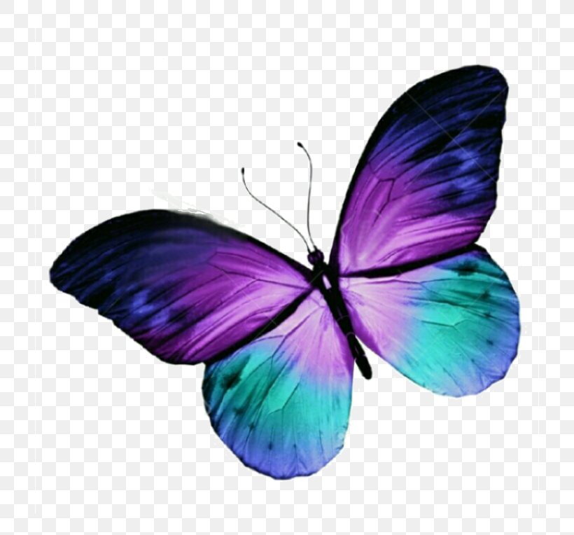 Butterfly Tattoo Purple Blue Clip Art, PNG, 720x764px, Butterfly, Art, Blue, Brush Footed Butterfly, Color Download Free