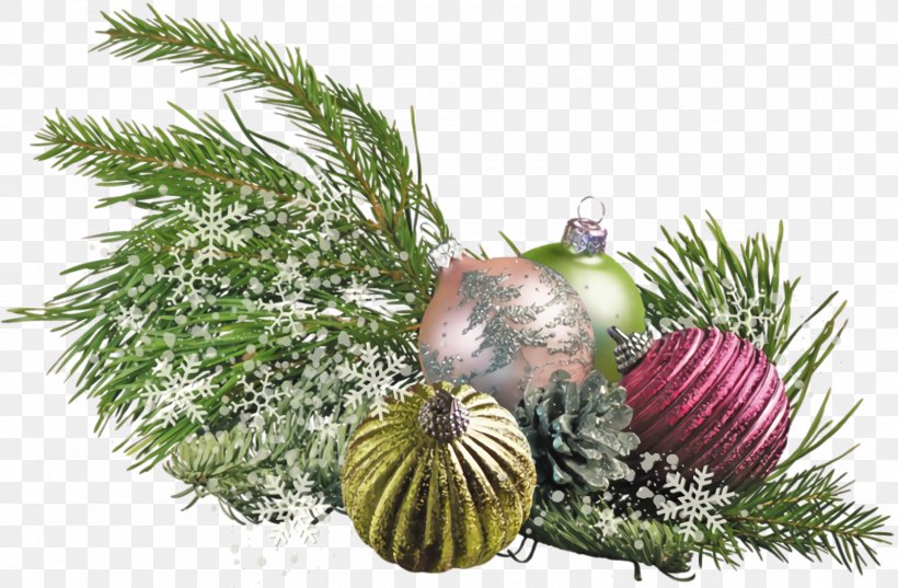 Christmas Ornaments Christmas Decoration Christmas, PNG, 1600x1048px, Christmas Ornaments, Christmas, Christmas Decoration, Conifer, Fir Download Free