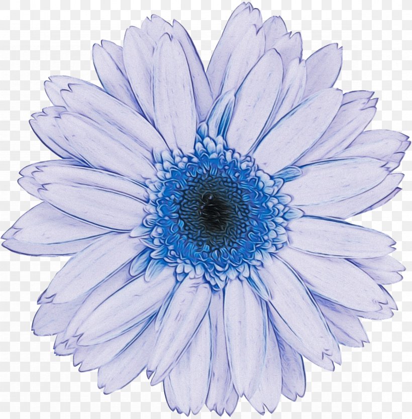 Daisy, PNG, 1179x1200px, Watercolor, Barberton Daisy, Blue, Cut Flowers, Daisy Download Free