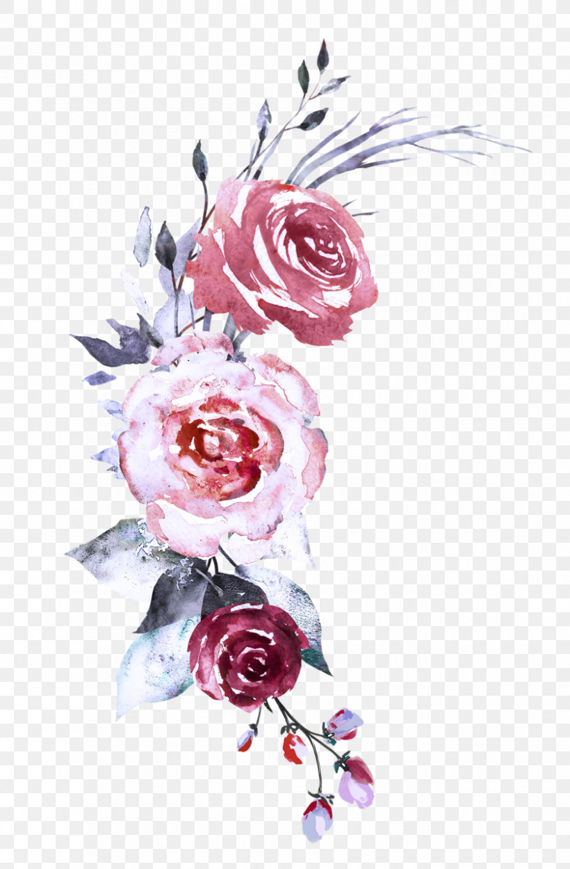 Garden Roses, PNG, 840x1280px, Pink, Cut Flowers, Flower, Garden Roses, Plant Download Free