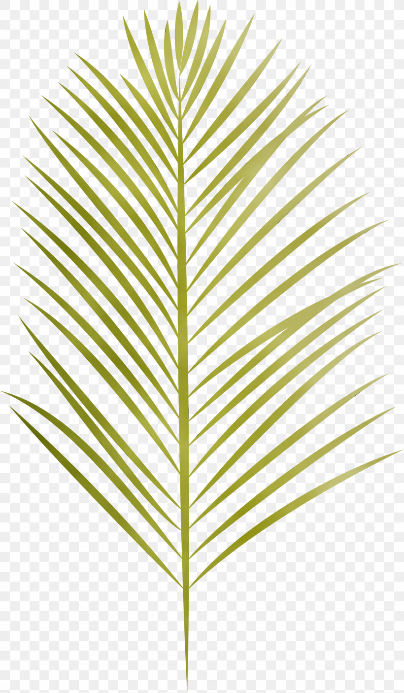 Leaf Plant Stem Grasses Angle Line, PNG, 1749x3000px, Arabian Landscape, Angle, Biology, Grasses, Leaf Download Free