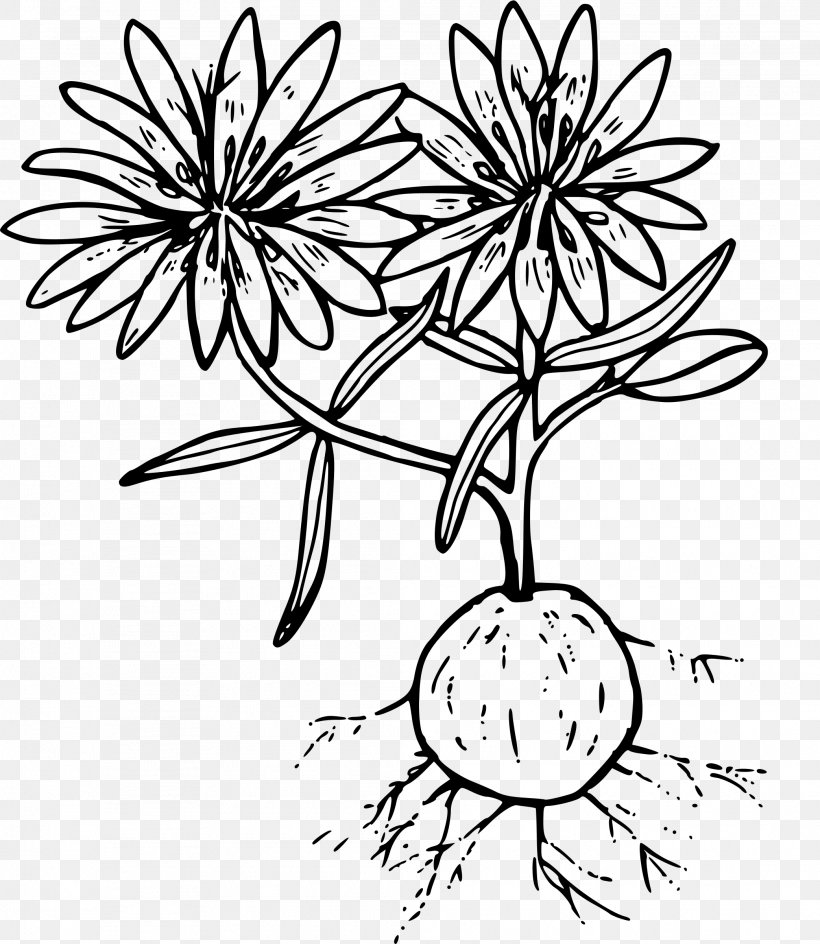Line Art Drawing Clip Art, PNG, 2084x2400px, Line Art, Art, Artwork, Black And White, Branch Download Free