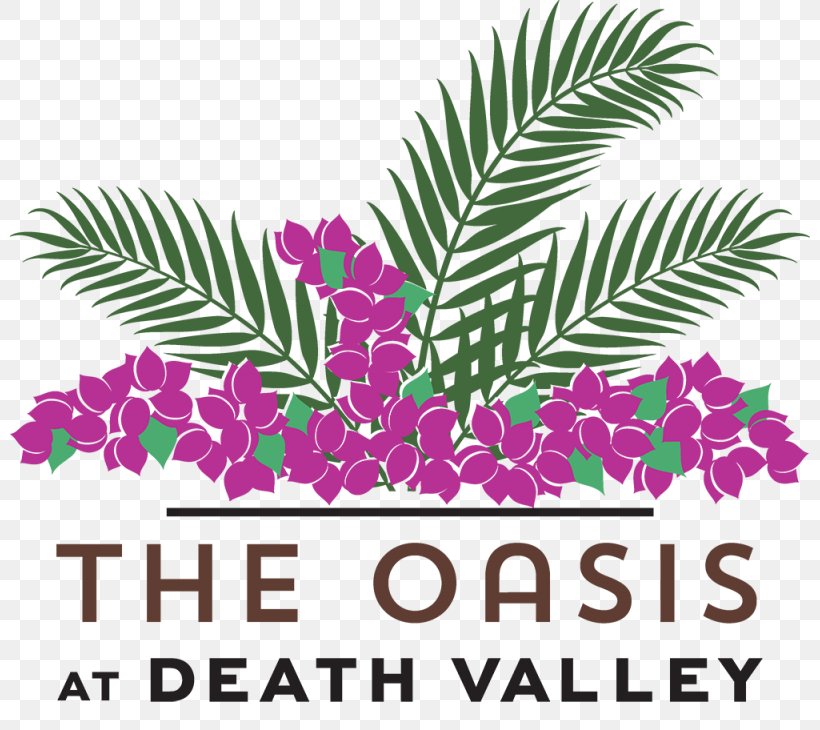 Oasis At Death Valley Furnace Creek Hotel Resort Park, PNG, 800x730px, Hotel, Accommodation, Area, Arecales, Branch Download Free