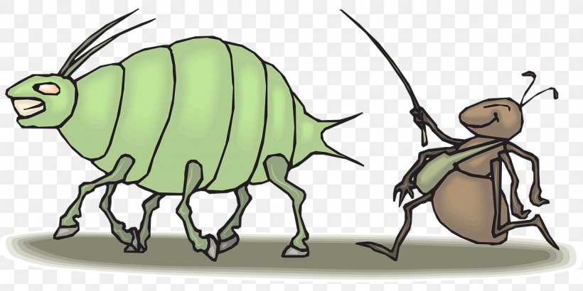 Ant Aphid Clip Art Beetle Pest, PNG, 1280x640px, Ant, Acari, Aphid, Arthropod, Artwork Download Free
