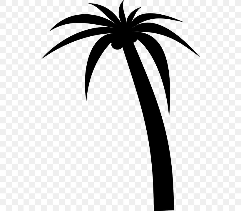 Arecaceae Drawing Clip Art, PNG, 542x720px, Arecaceae, African Oil Palm, Arecales, Artwork, Black And White Download Free