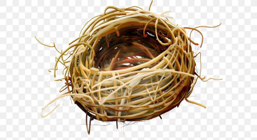 Bird Nest Bird Nest, PNG, 600x448px, Bird, Basket, Bird Nest, Edible Birds Nest, Egg Download Free