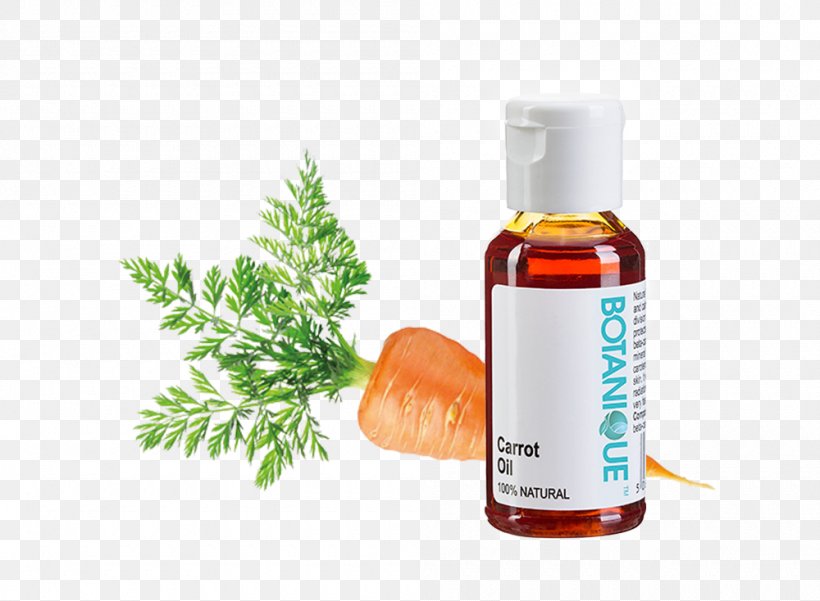 Carrot Seed Oil Sunflower Oil, PNG, 1000x734px, Carrot Seed Oil, Carotene, Carrot, Daucus Carota, Essential Oil Download Free