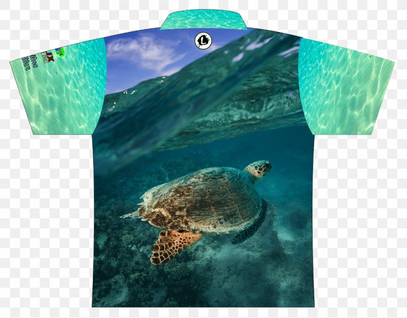 Loggerhead Sea Turtle Ecosystem Marine Biology Fauna, PNG, 1100x861px, Loggerhead Sea Turtle, Aqua, Biology, Ecosystem, Fauna Download Free