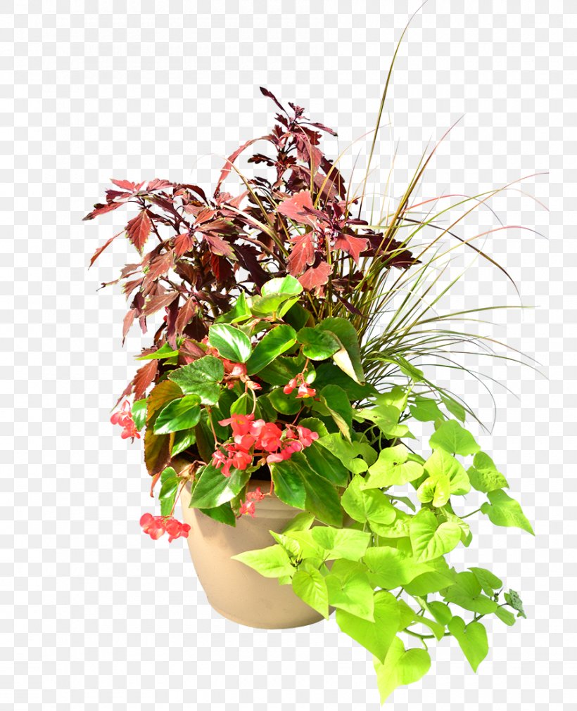 Houseplant Flower Homestead Gardens Floral Design, PNG, 900x1110px, Plant, Annual Plant, Cut Flowers, Davidsonville, Floral Design Download Free