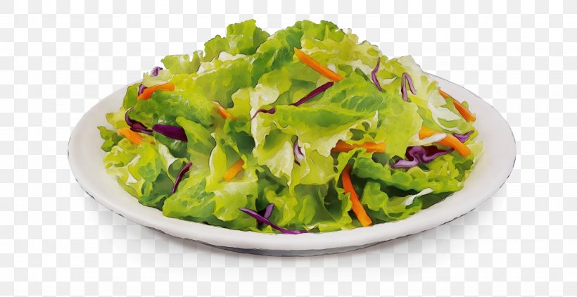 Romaine Lettuce Vegetarian Cuisine Food Salad Garnish, PNG, 1538x792px, Romaine Lettuce, Cabbage, Cuisine, Dish, Food Download Free
