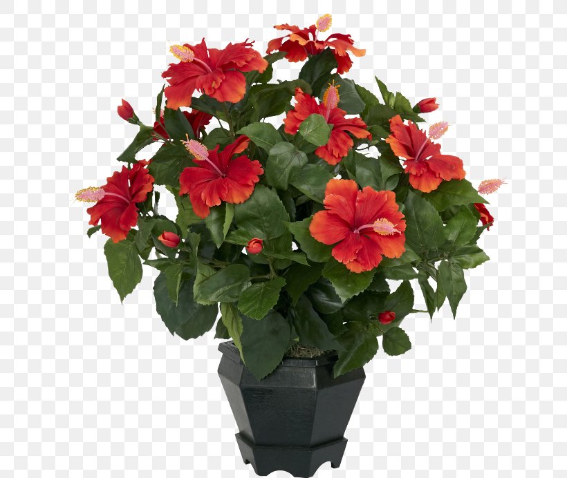 Shoeblackplant Artificial Flower Houseplant, PNG, 650x692px, Shoeblackplant, Annual Plant, Artificial Flower, Begonia, Bonsai Download Free