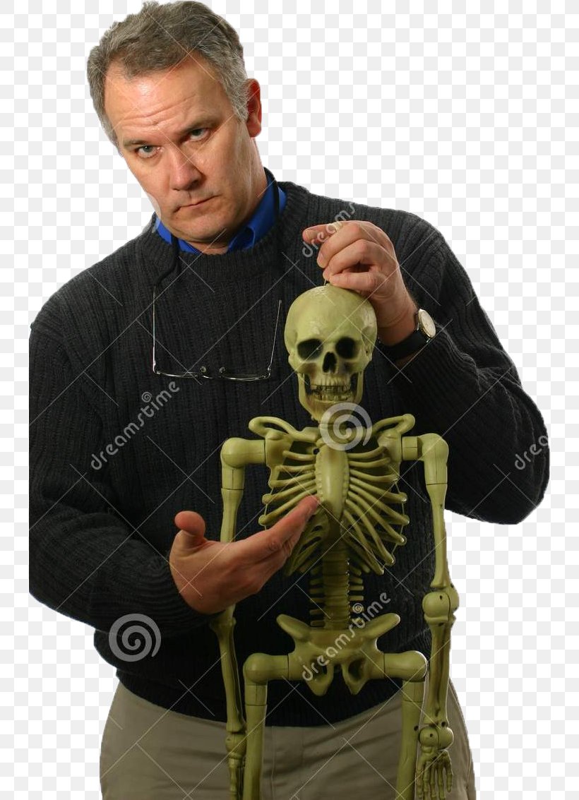 Stock Photography Human Skeleton Bone Anatomy, PNG, 738x1133px, Stock Photography, Anatomy, Arm, Bone, Human Skeleton Download Free