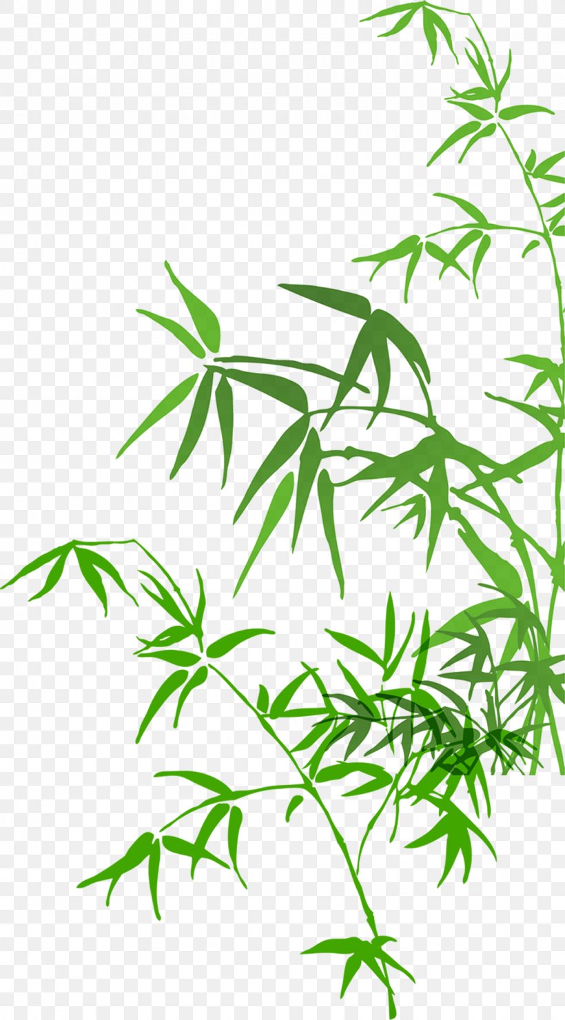 Bamboo Watercolor Painting, PNG, 1125x2031px, Bamboo, Area, Bamboe, Black And White, Branch Download Free