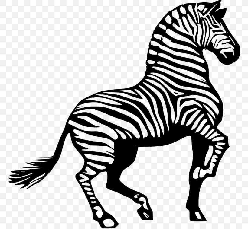 zebra clipart black and white