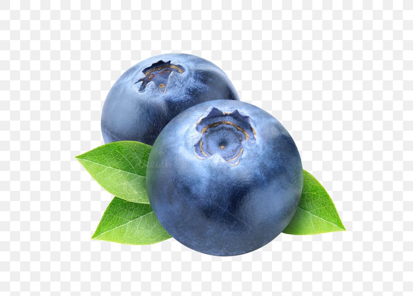 Blueberry Frutti Di Bosco Clip Art, PNG, 680x589px, Blueberry, Berry, Bilberry, Cherry, Food Download Free