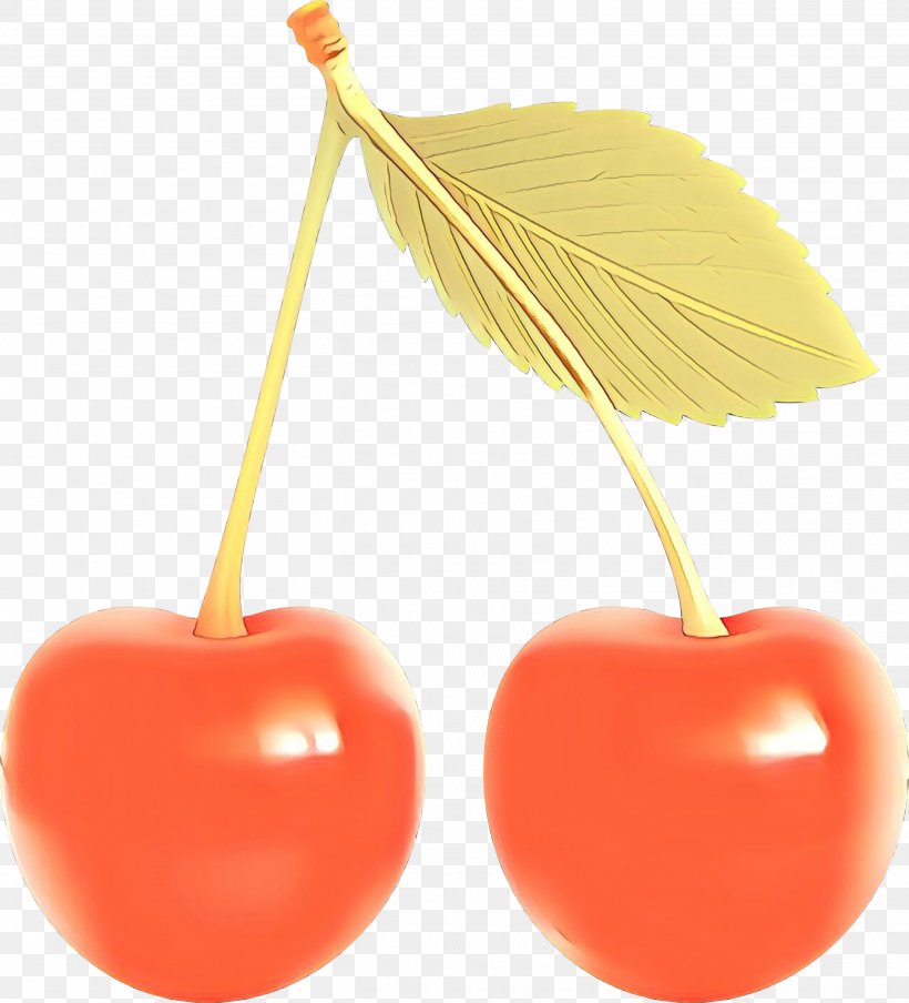 Cherry Tree, PNG, 2719x3000px, Cartoon, Cherries, Cherry, Drupe, Food Download Free