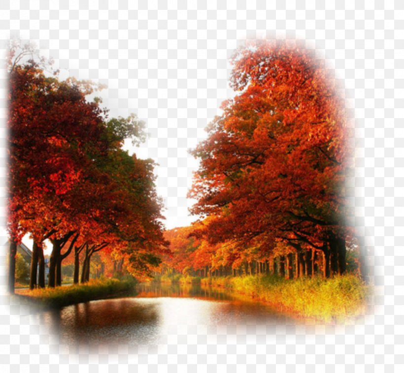 Desktop Wallpaper High-definition Television Autumn Leaf Color High-definition Video, PNG, 980x906px, 1610, Highdefinition Television, Aspect Ratio, Autumn, Autumn Leaf Color Download Free