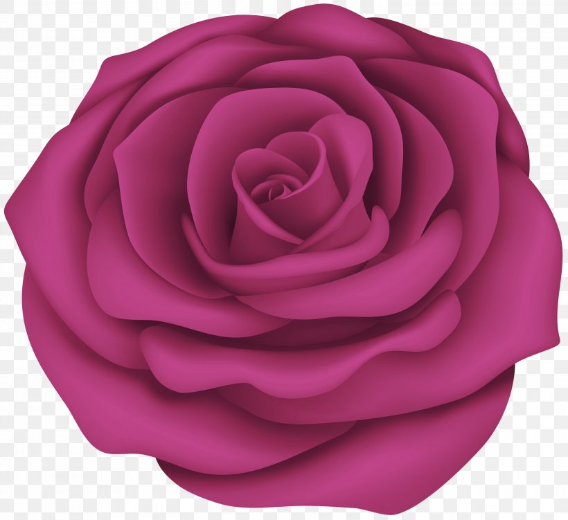 Garden Roses, PNG, 3000x2751px, Pink, Flower, Garden Roses, Hybrid Tea Rose, Magenta Download Free